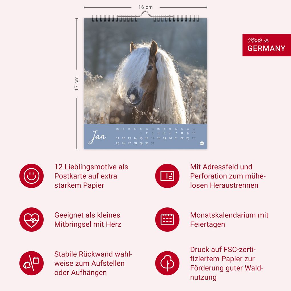Weitere Ansicht: Pferde Postkartenkalender 2027 - Starke Freunde