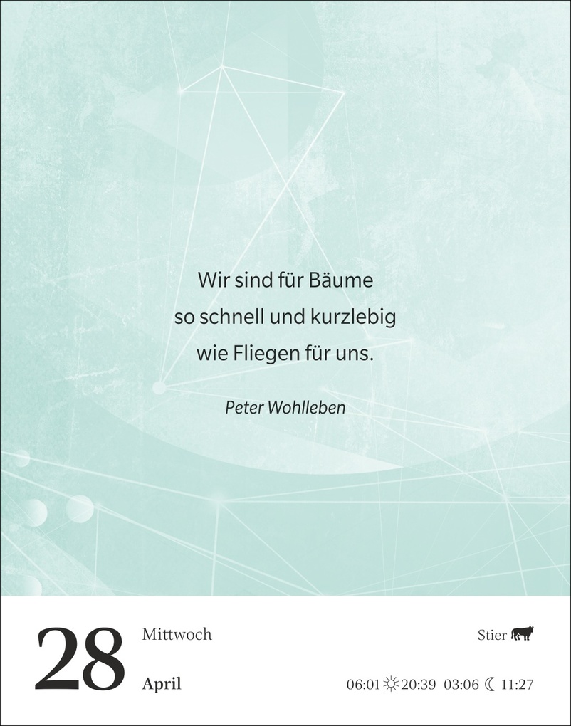 Weitere Ansicht: Gute Gedanken tanken Tagesabreißkalender 2027 - Denkanstöße für das ganze Jahr | Eva Bambach, Gabriele Gassen, Hildegard Hogen