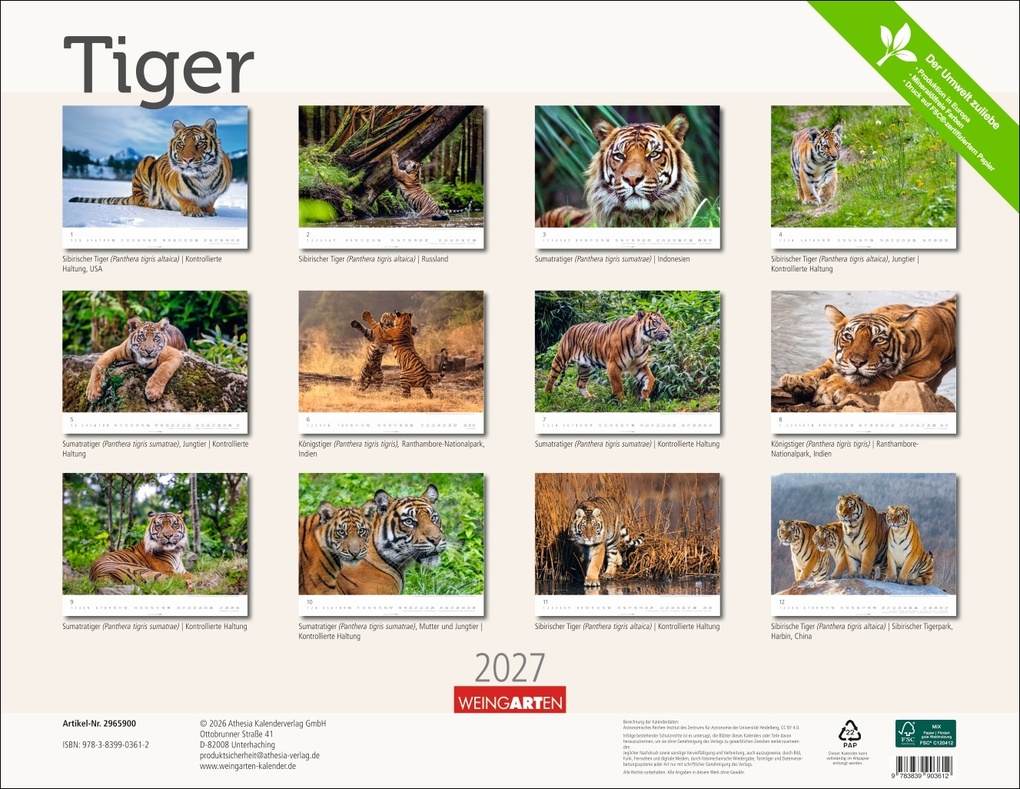 Weitere Ansicht: Tiger Kalender 2027
