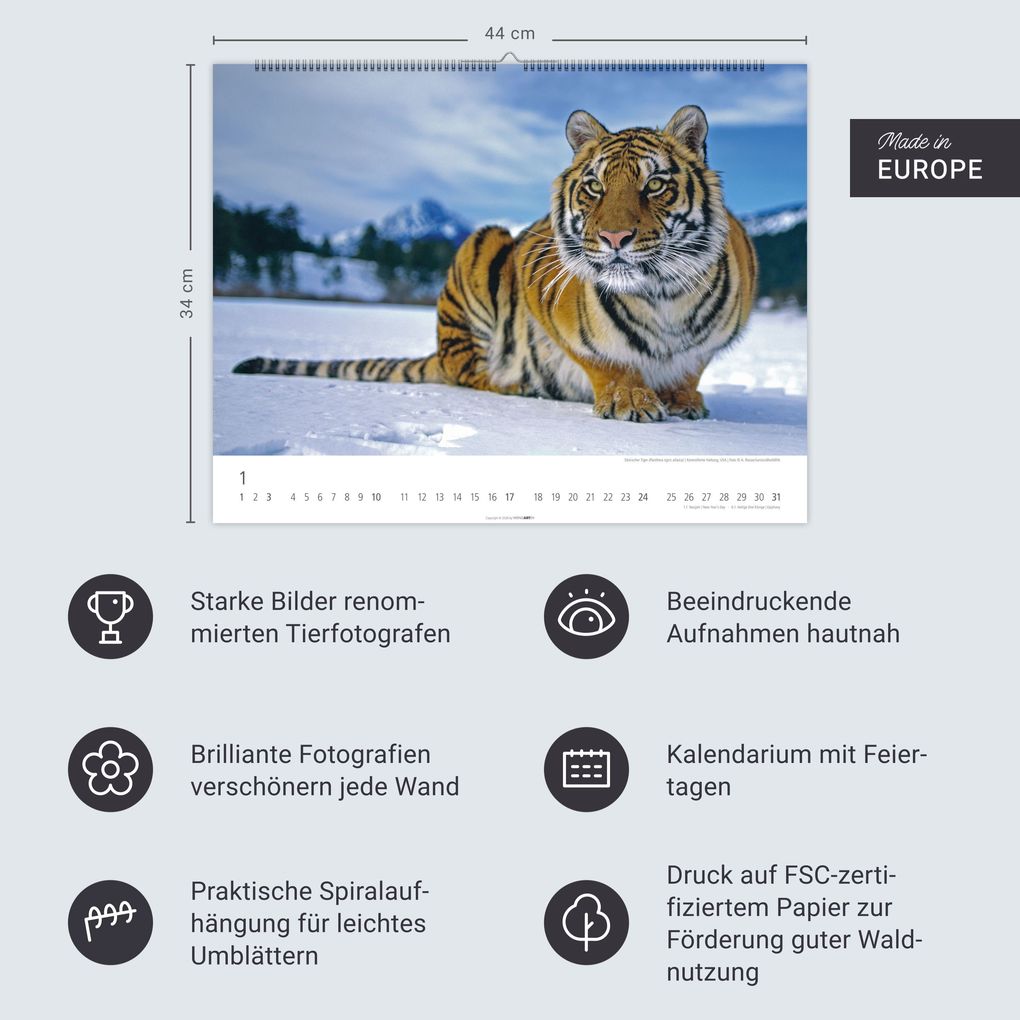 Weitere Ansicht: Tiger Kalender 2027