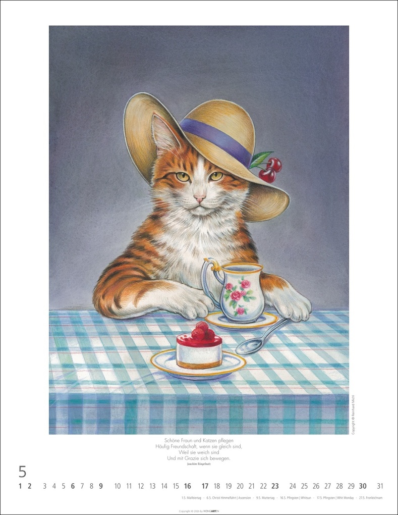 Weitere Ansicht: Schnurren und Kratzen - Bilder von Katzen Kalender 2027 | Reinhard Michl