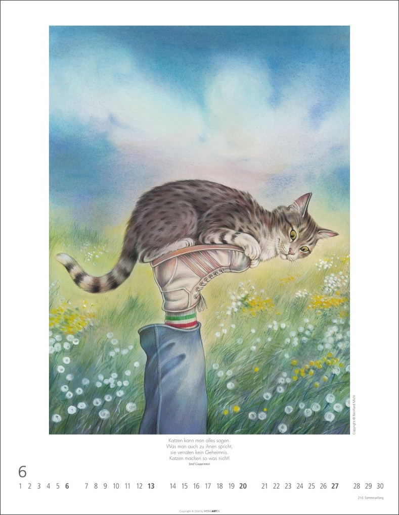 Weitere Ansicht: Schnurren und Kratzen - Bilder von Katzen Kalender 2027 | Reinhard Michl