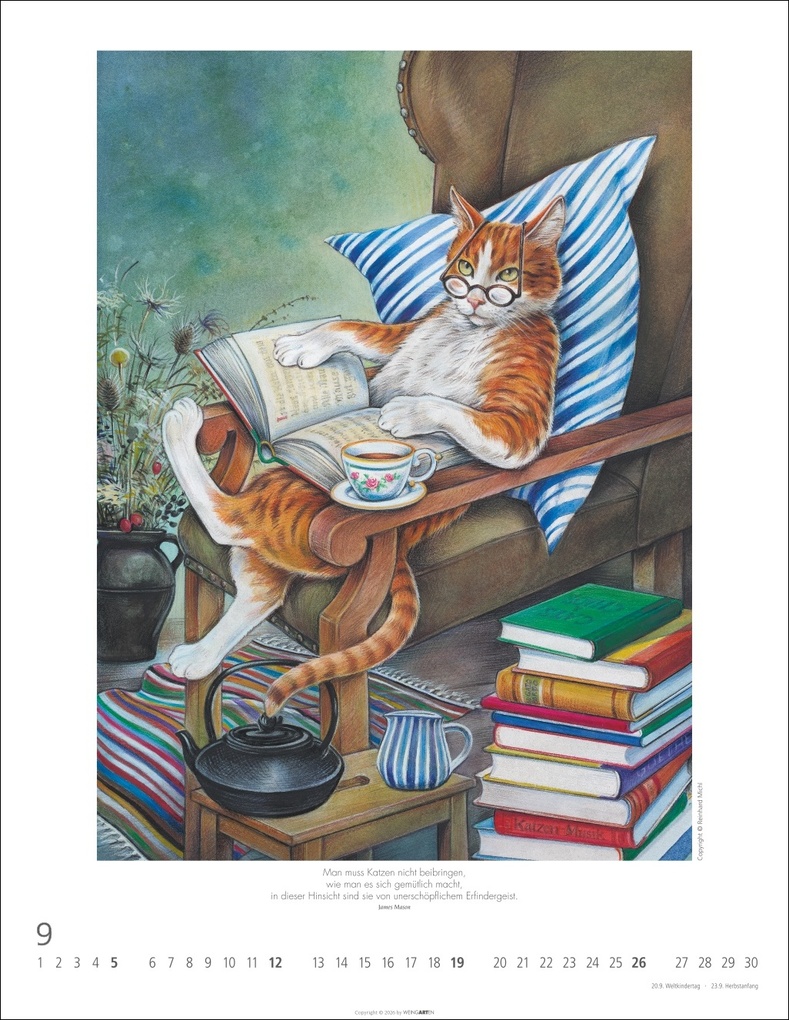 Weitere Ansicht: Schnurren und Kratzen - Bilder von Katzen Kalender 2027 | Reinhard Michl