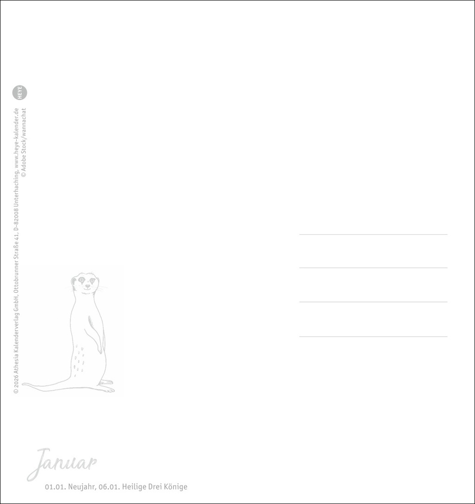 Weitere Ansicht: Erdmännchen Postkartenkalender 2027