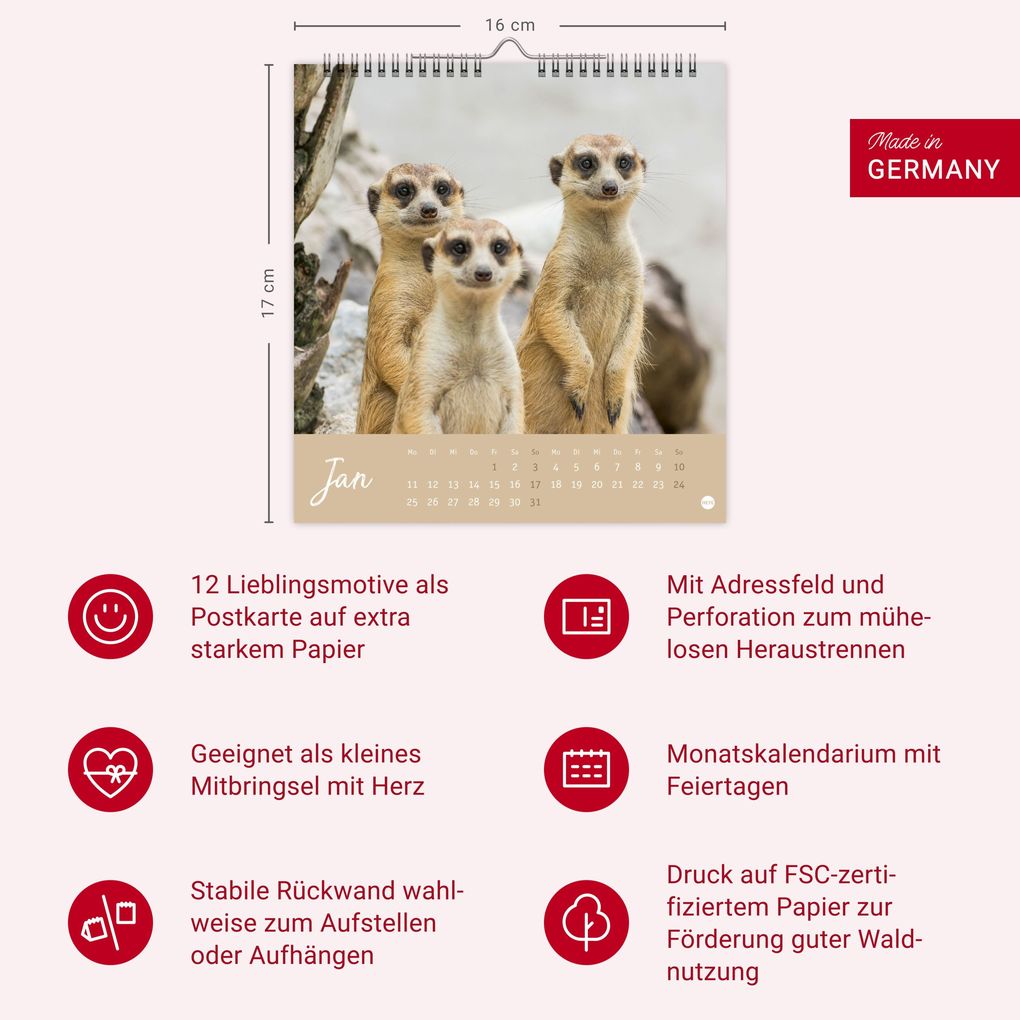 Weitere Ansicht: Erdmännchen Postkartenkalender 2027