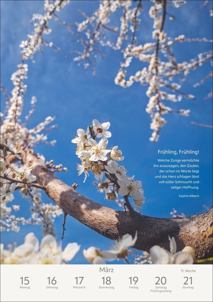 Weitere Ansicht: Literaturkalender Natur Wochen-Kulturkalender 2027 | Ruth Dangelmeier