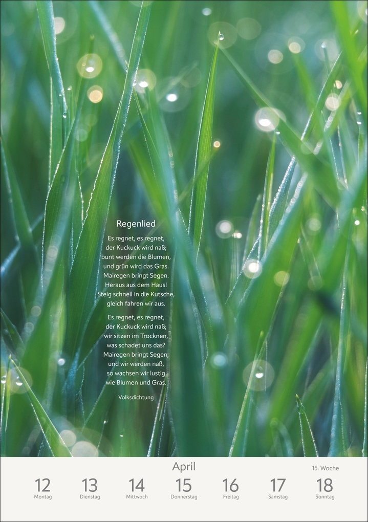 Weitere Ansicht: Literaturkalender Natur Wochen-Kulturkalender 2027 | Ruth Dangelmeier