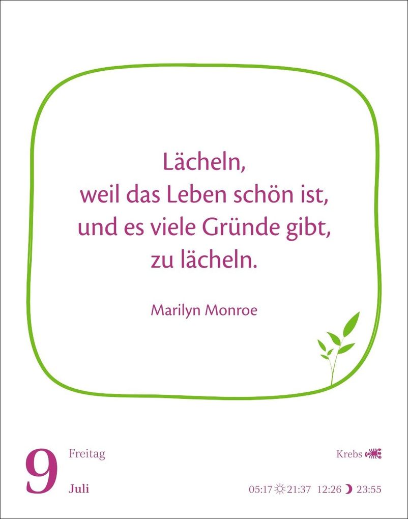 Weitere Ansicht: Heute ist dein Tag! Tagesabreißkalender 2027 - 313 positive Zitate für 2027 | Ann Christin Artel