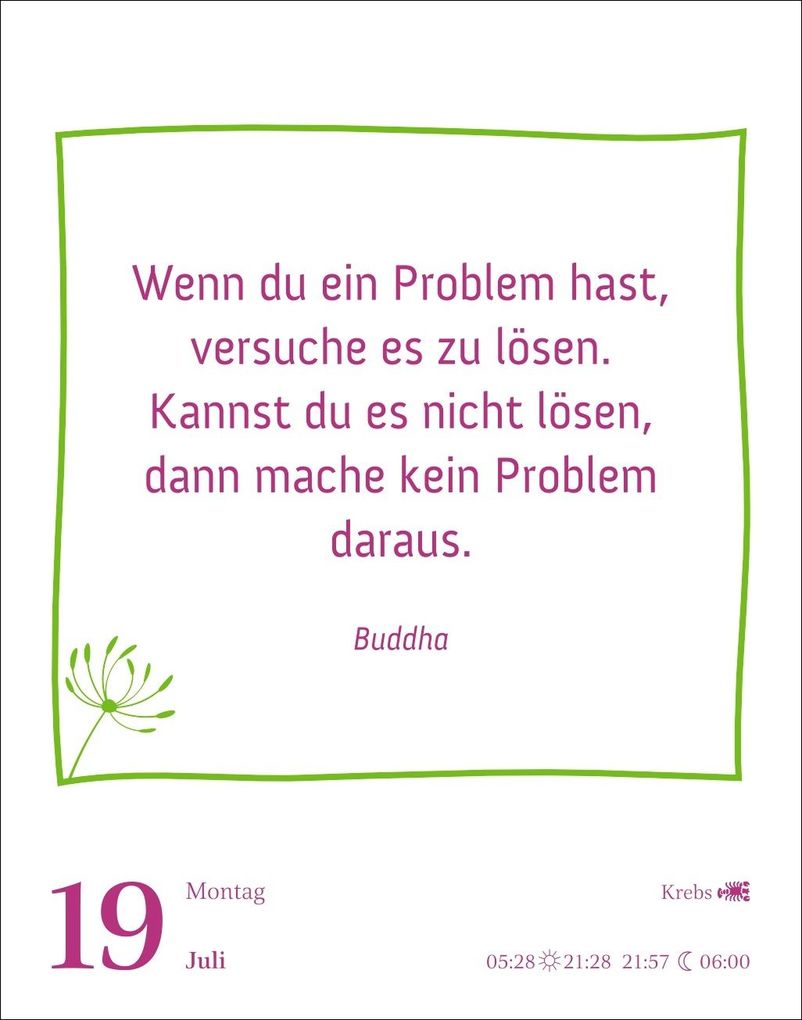 Weitere Ansicht: Heute ist dein Tag! Tagesabreißkalender 2027 - 313 positive Zitate für 2027 | Ann Christin Artel