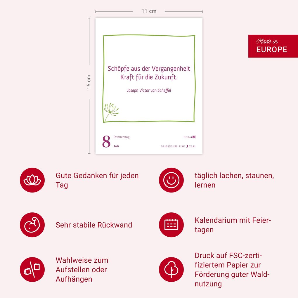 Weitere Ansicht: Heute ist dein Tag! Tagesabreißkalender 2027 - 313 positive Zitate für 2027 | Ann Christin Artel