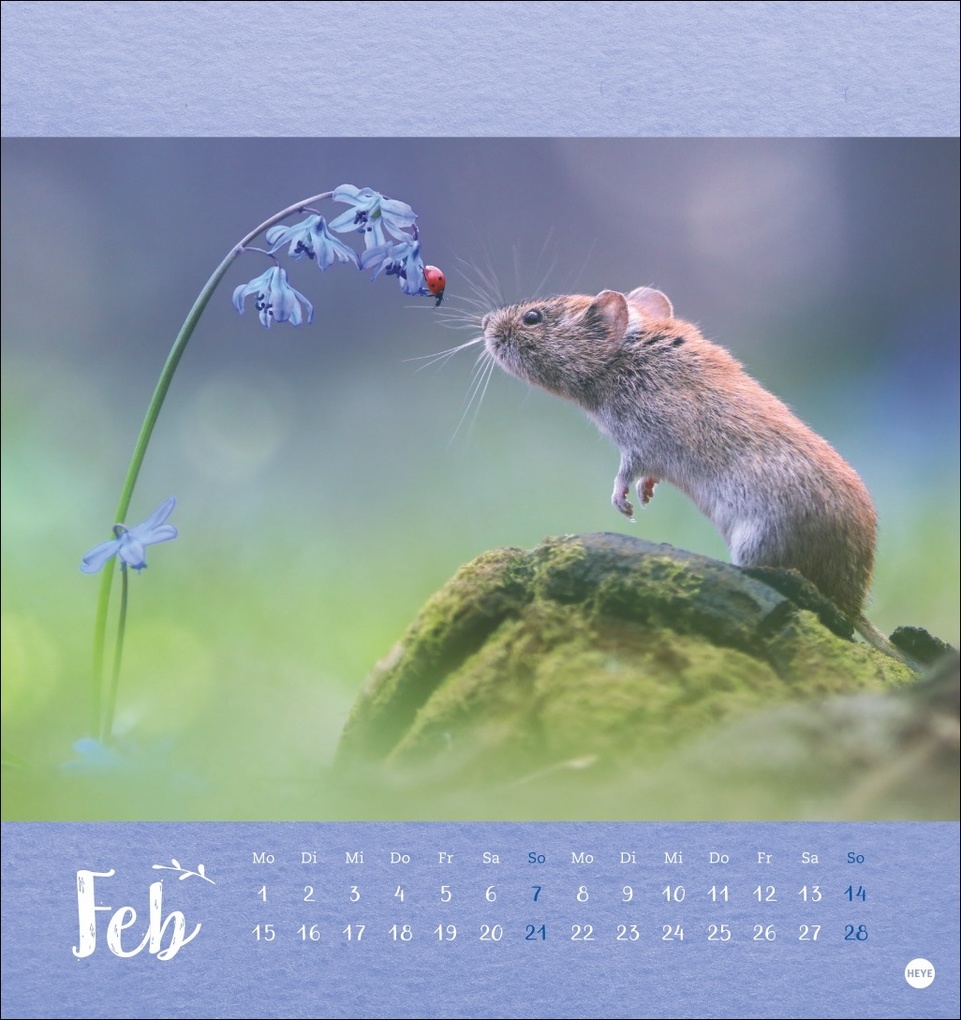 Weitere Ansicht: Vadim Trunov: Märchenhaftes Waldleben Postkartenkalender 2027