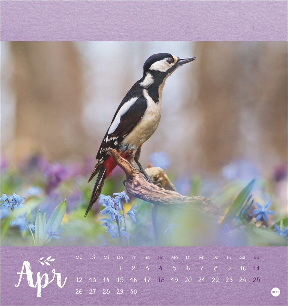 Weitere Ansicht: Vadim Trunov: Märchenhaftes Waldleben Postkartenkalender 2027