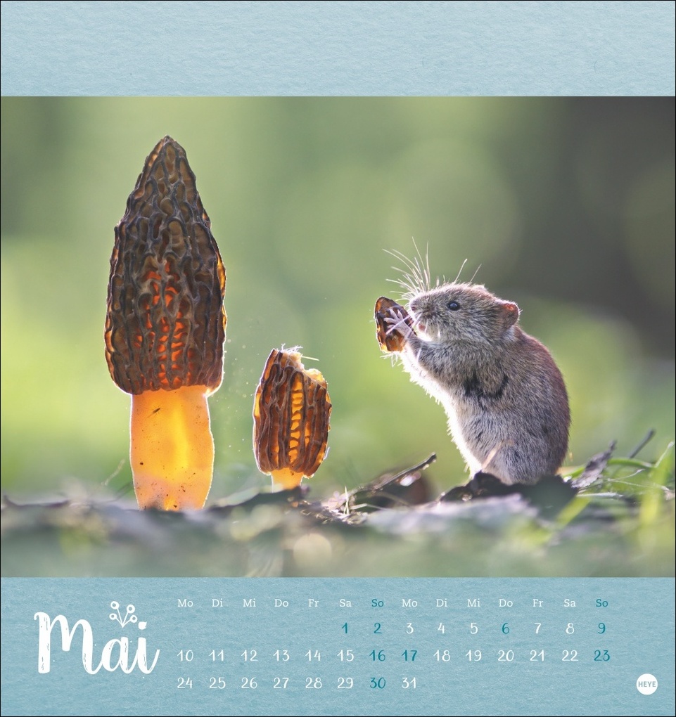 Weitere Ansicht: Vadim Trunov: Märchenhaftes Waldleben Postkartenkalender 2027