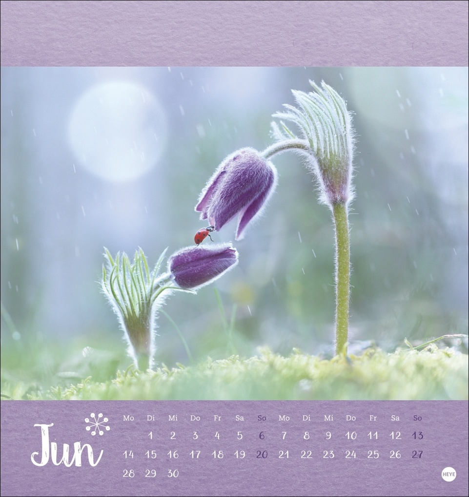 Weitere Ansicht: Vadim Trunov: Märchenhaftes Waldleben Postkartenkalender 2027