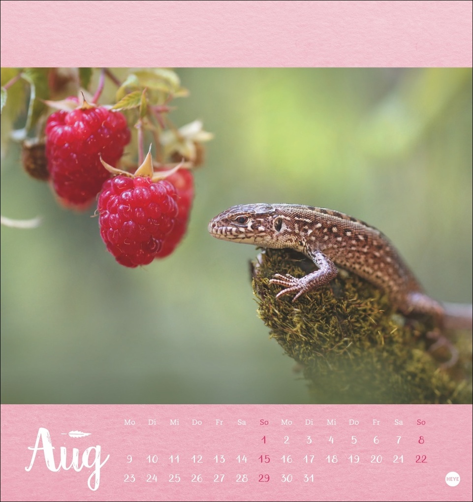 Weitere Ansicht: Vadim Trunov: Märchenhaftes Waldleben Postkartenkalender 2027