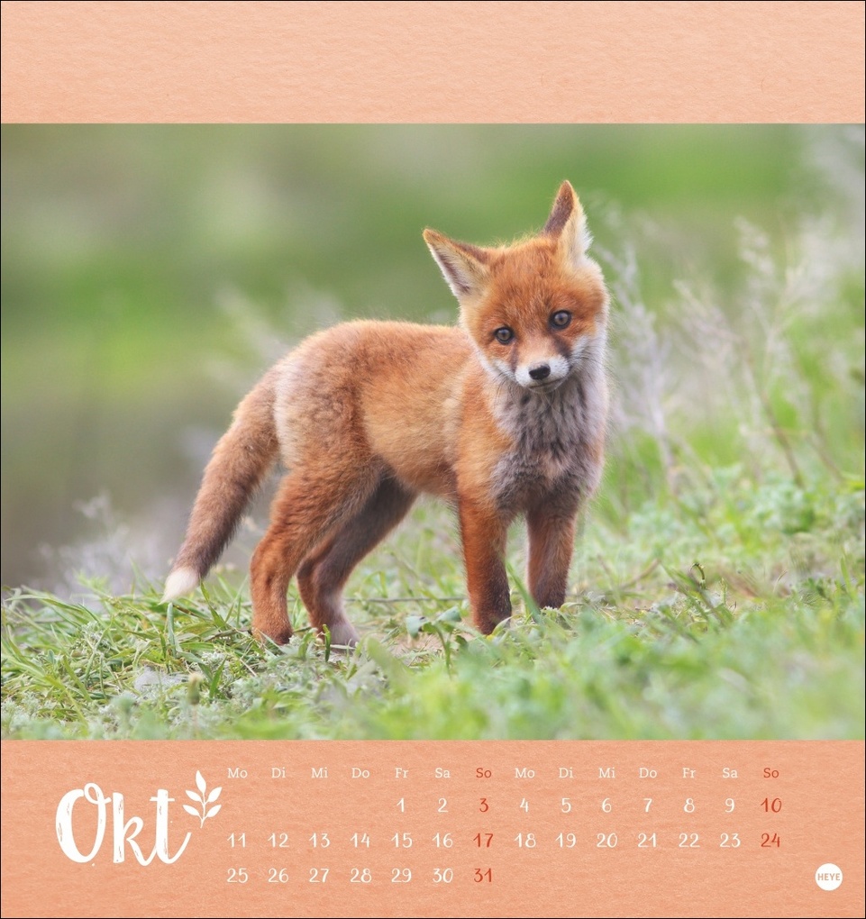 Weitere Ansicht: Vadim Trunov: Märchenhaftes Waldleben Postkartenkalender 2027