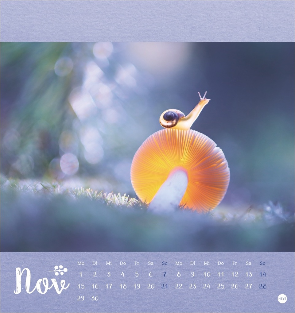 Weitere Ansicht: Vadim Trunov: Märchenhaftes Waldleben Postkartenkalender 2027