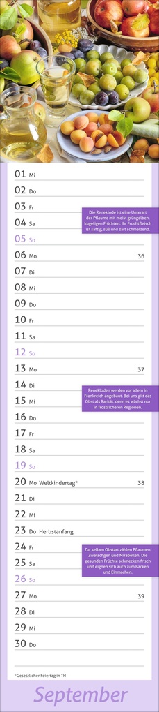 Weitere Ansicht: times&more Küche Langplaner 2027