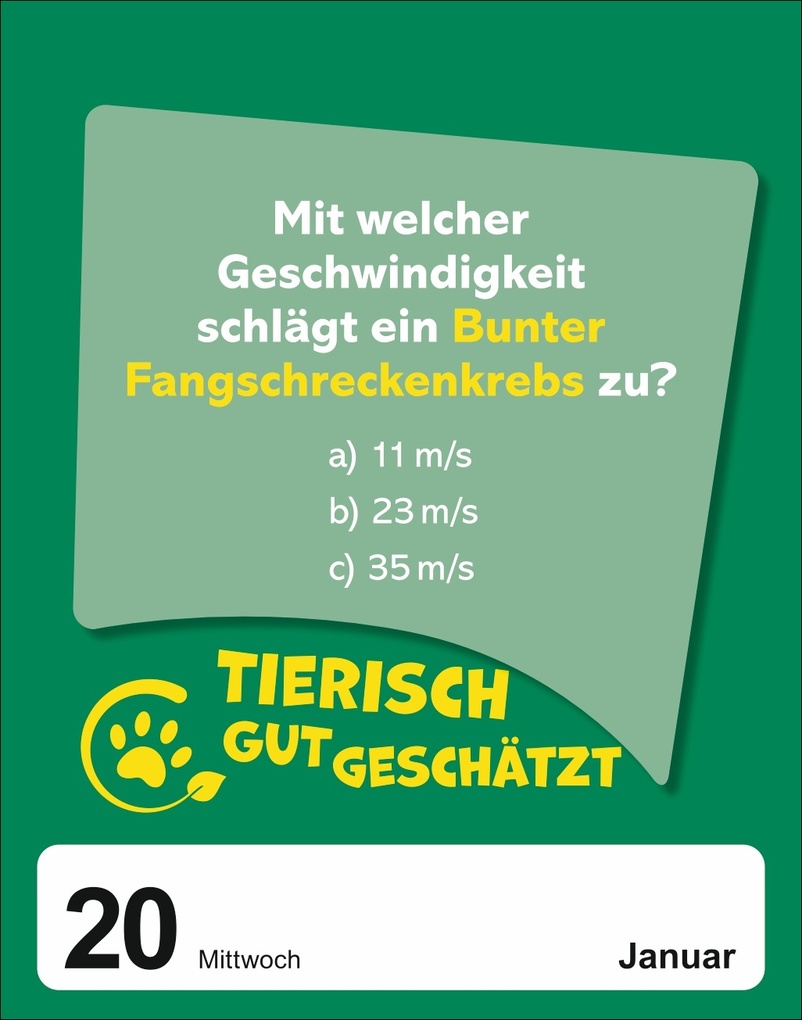 Weitere Ansicht: Was schätzt du denn? Tagesabreißkalender 2027 - Knifflige Schätzfragen für die ganze Familie! | Stefan Heine