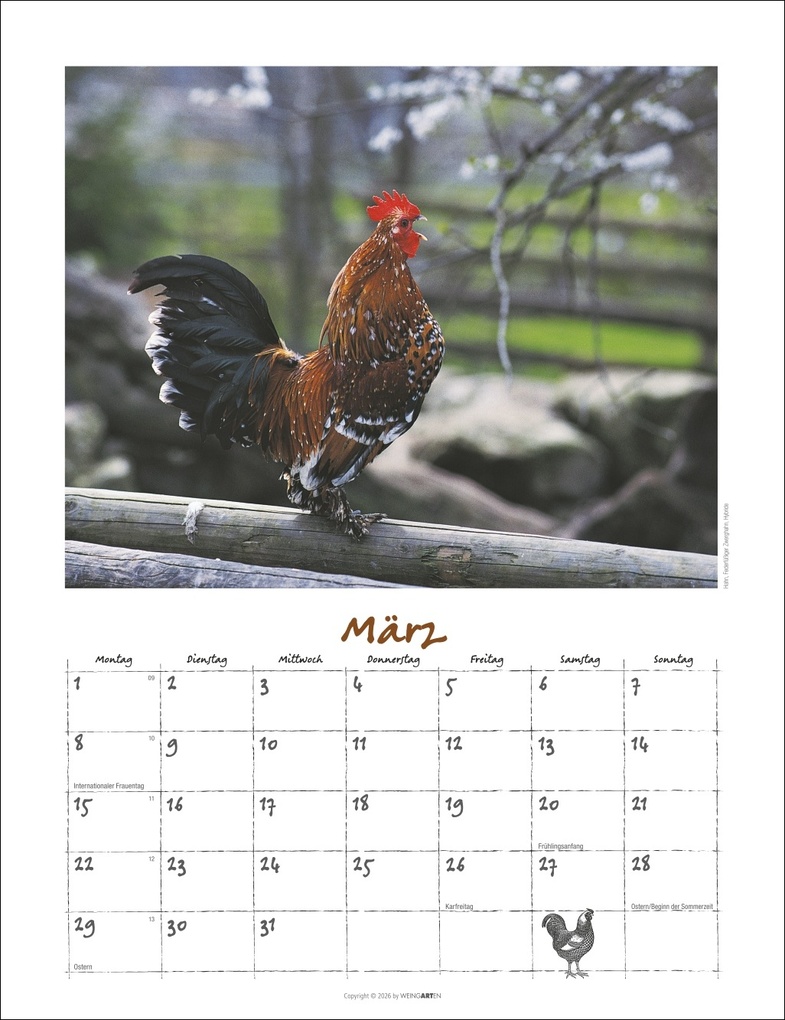 Weitere Ansicht: Der Hühnerkalender 2027