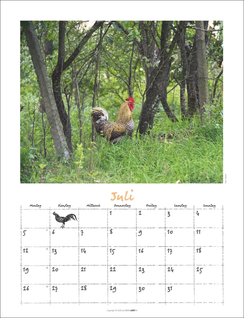 Weitere Ansicht: Der Hühnerkalender 2027