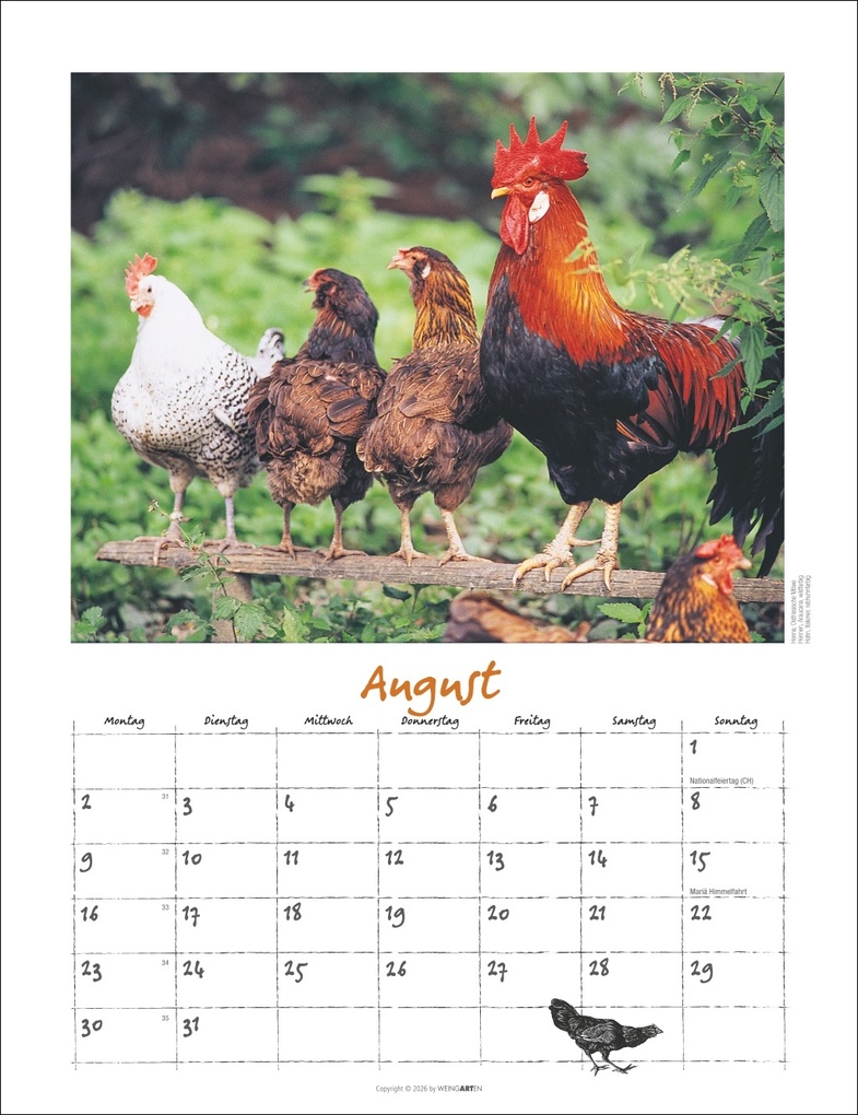 Weitere Ansicht: Der Hühnerkalender 2027