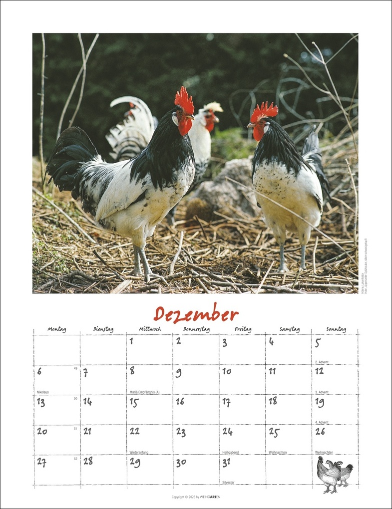Weitere Ansicht: Der Hühnerkalender 2027