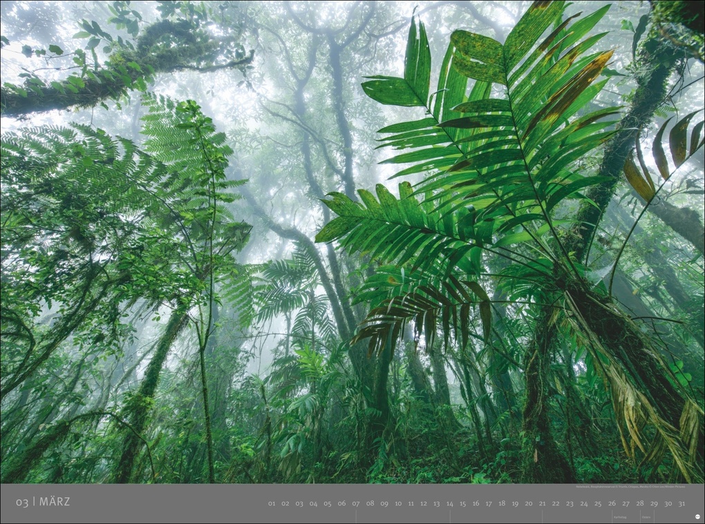 Weitere Ansicht: Die letzten Paradiese - Edition Alexander von Humboldt Kalender 2027