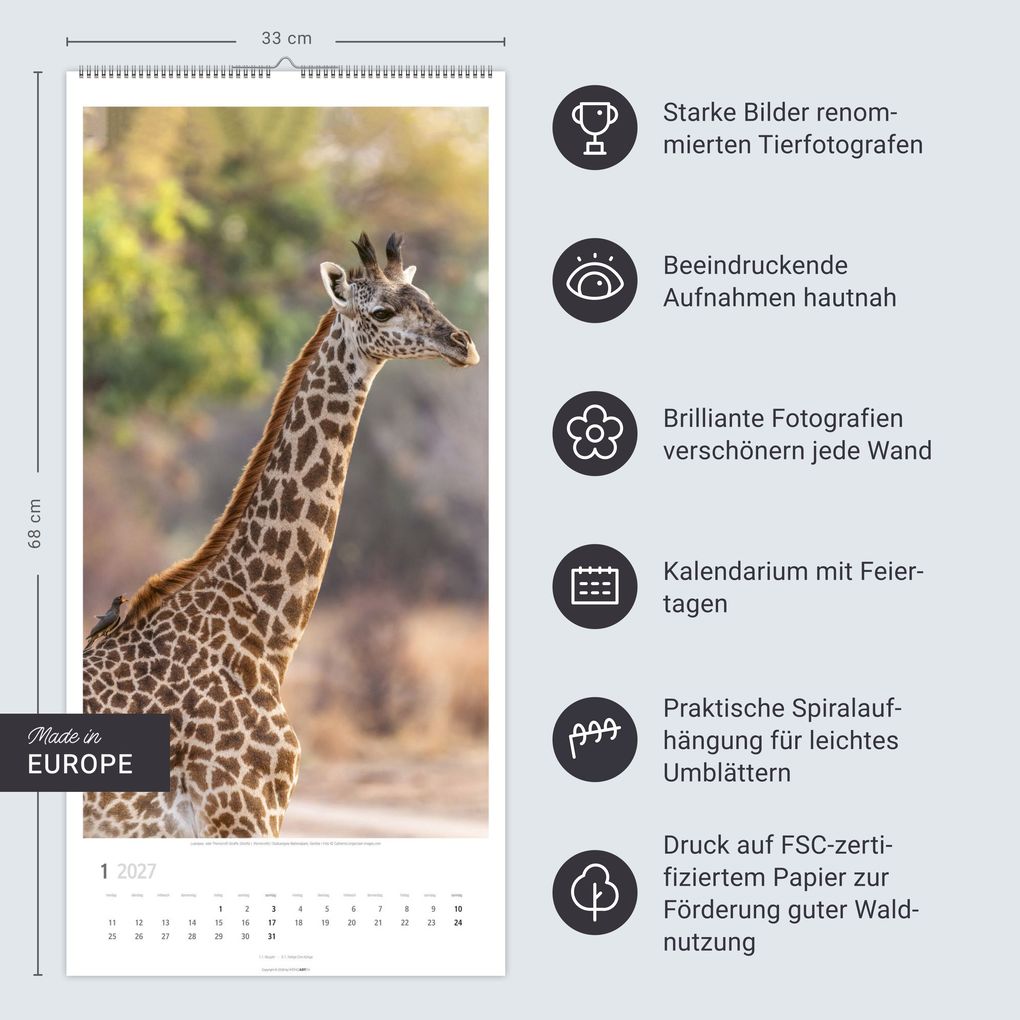 Weitere Ansicht: Giraffen Kalender 2027