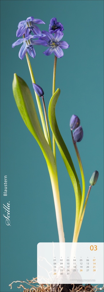 Weitere Ansicht: Magic Flowers Vertical Kalender 2027