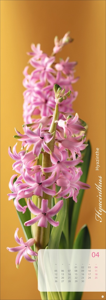 Weitere Ansicht: Magic Flowers Vertical Kalender 2027