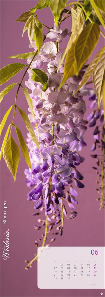 Weitere Ansicht: Magic Flowers Vertical Kalender 2027