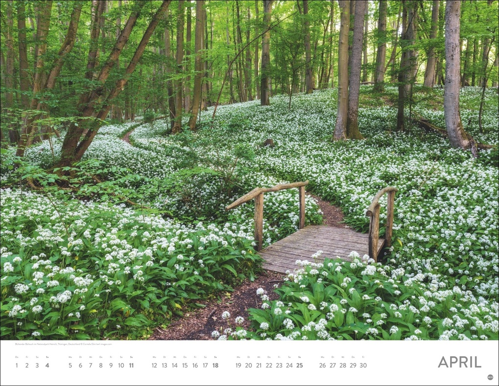 Weitere Ansicht: Auf Traumpfaden Posterkalender 2027