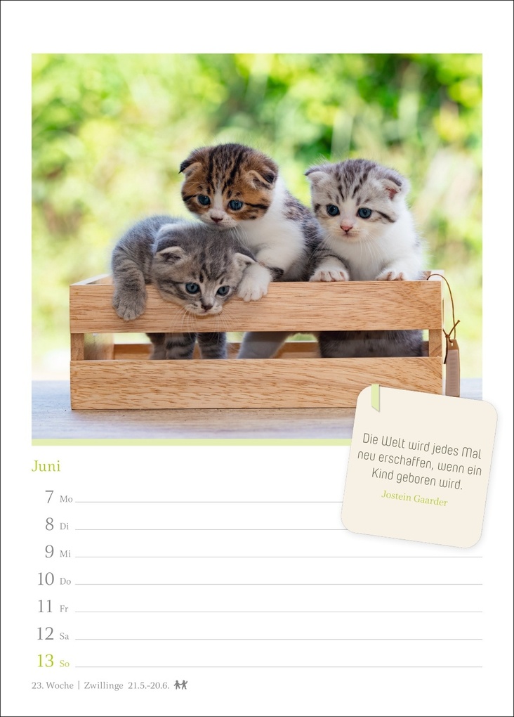 Weitere Ansicht: Katzenglück Wochenkalender 2027 - mit Zitaten