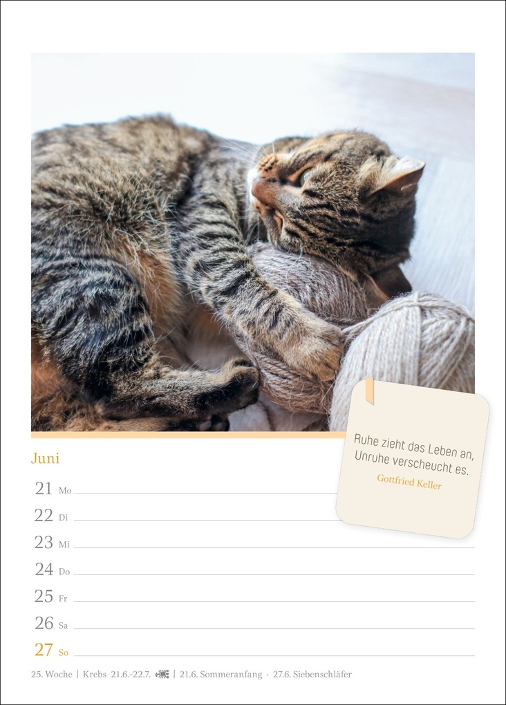 Weitere Ansicht: Katzenglück Wochenkalender 2027 - mit Zitaten