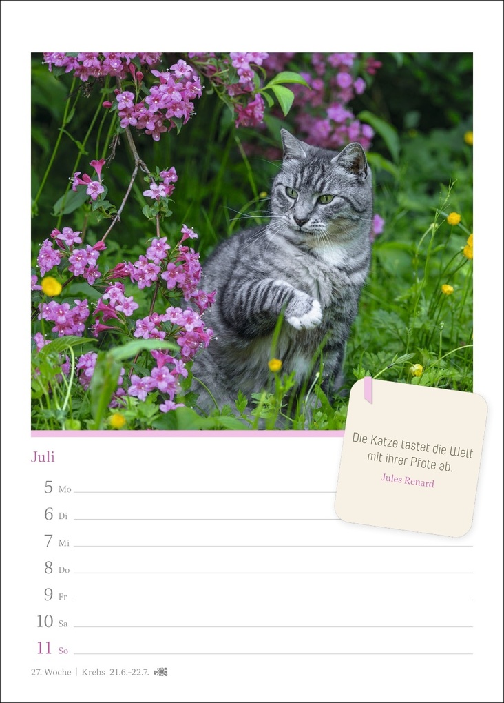 Weitere Ansicht: Katzenglück Wochenkalender 2027 - mit Zitaten