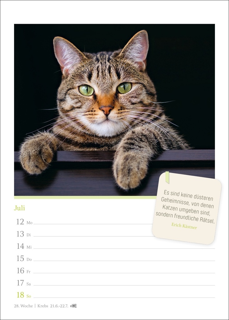 Weitere Ansicht: Katzenglück Wochenkalender 2027 - mit Zitaten
