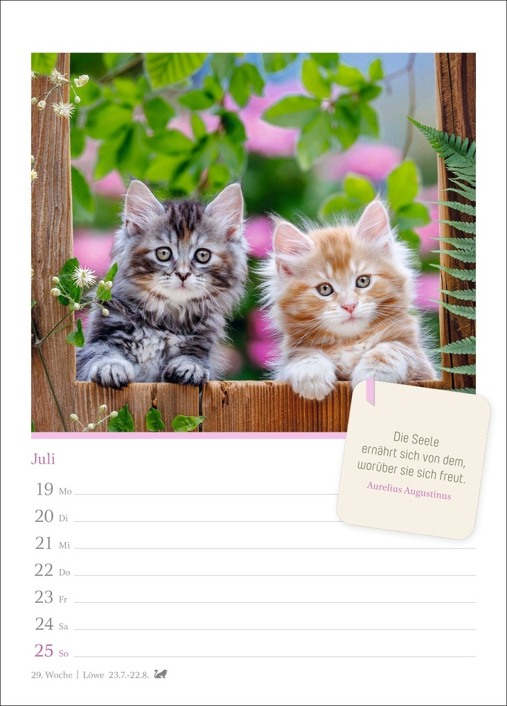 Weitere Ansicht: Katzenglück Wochenkalender 2027 - mit Zitaten