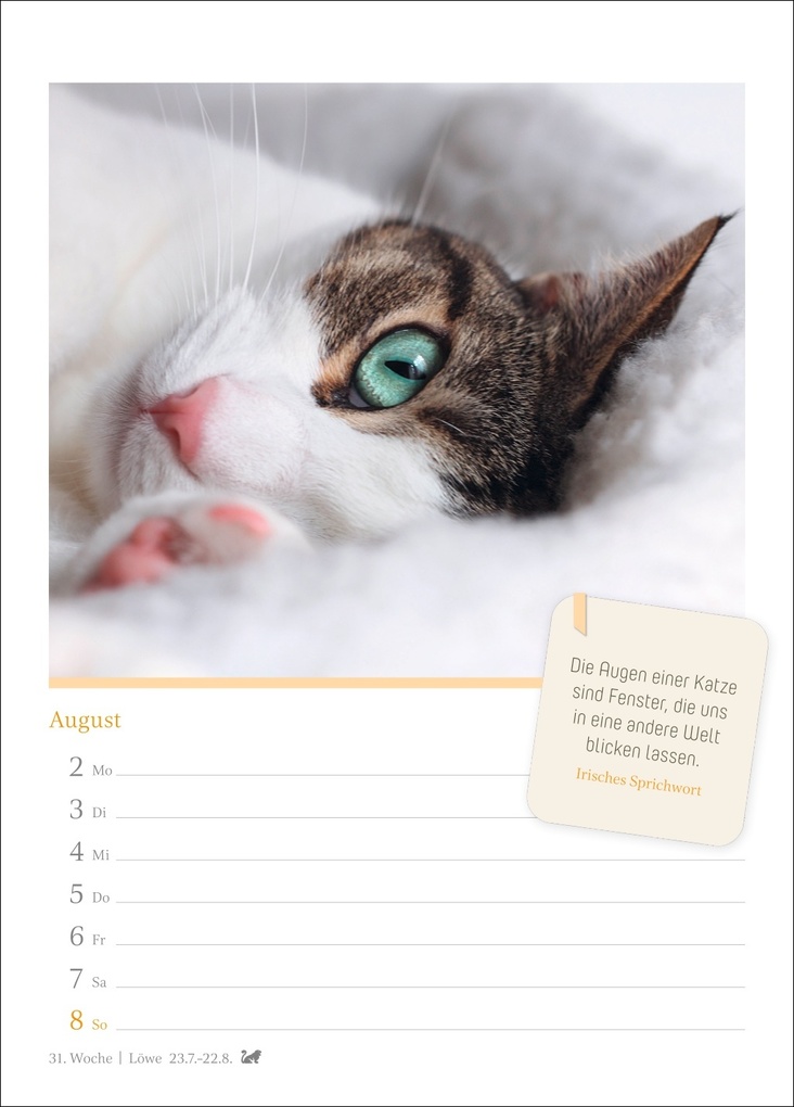 Weitere Ansicht: Katzenglück Wochenkalender 2027 - mit Zitaten