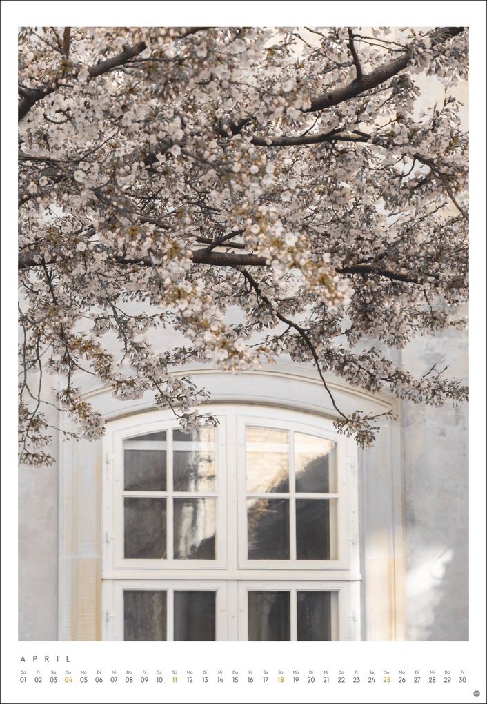 Weitere Ansicht: Mareike Böhmer: pure & simple Kalender 2027