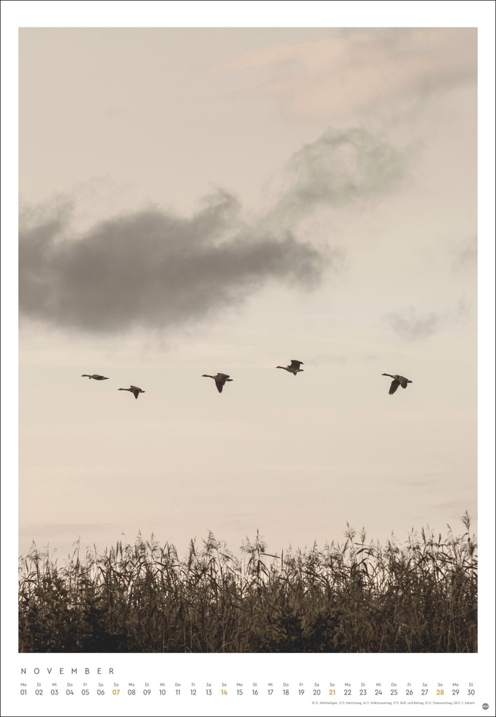 Weitere Ansicht: Mareike Böhmer: pure & simple Kalender 2027