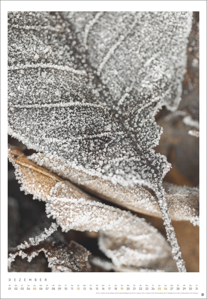 Weitere Ansicht: Mareike Böhmer: pure & simple Kalender 2027