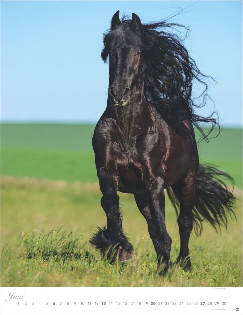 Weitere Ansicht: Pferde Classics Posterkalender 2027