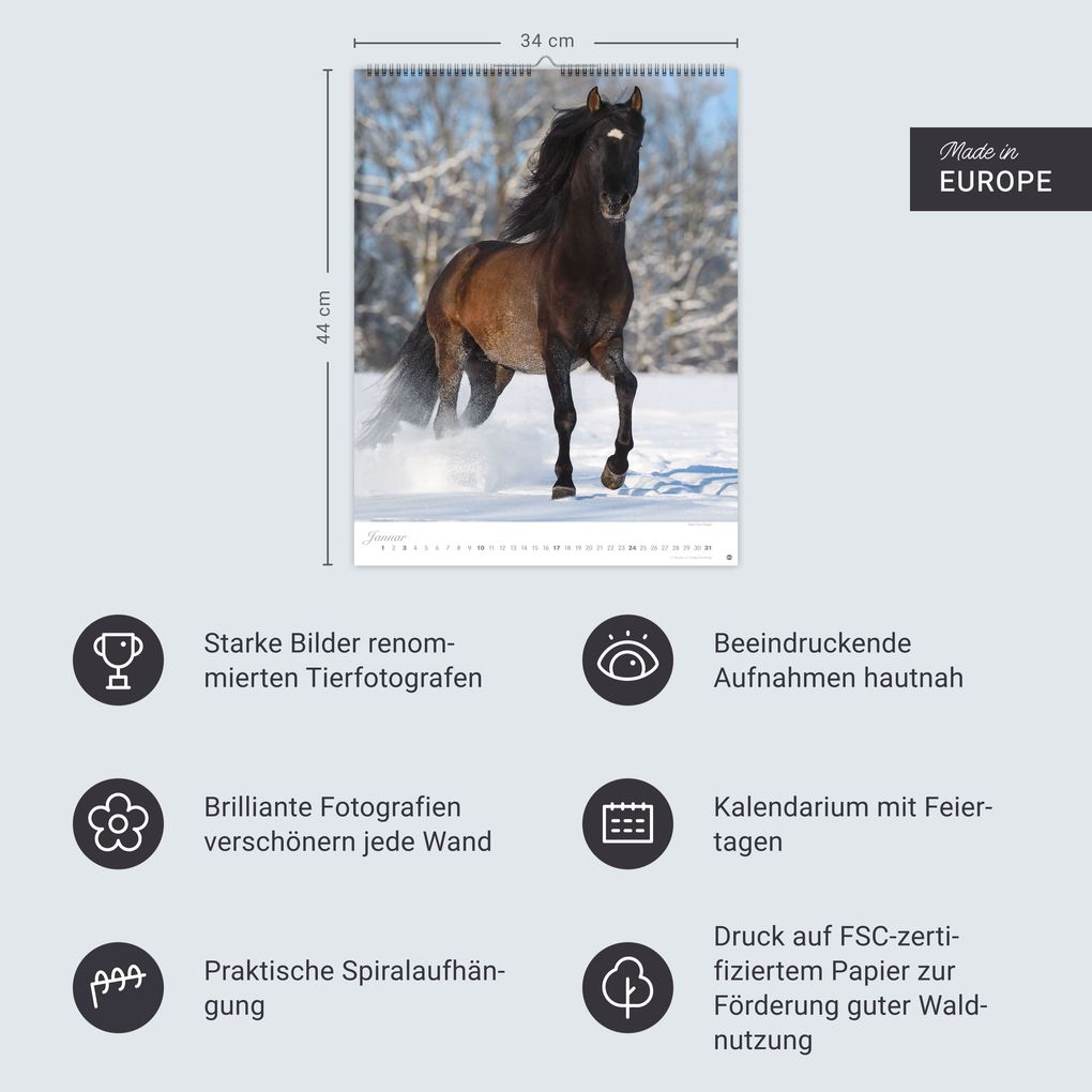 Weitere Ansicht: Pferde Classics Posterkalender 2027