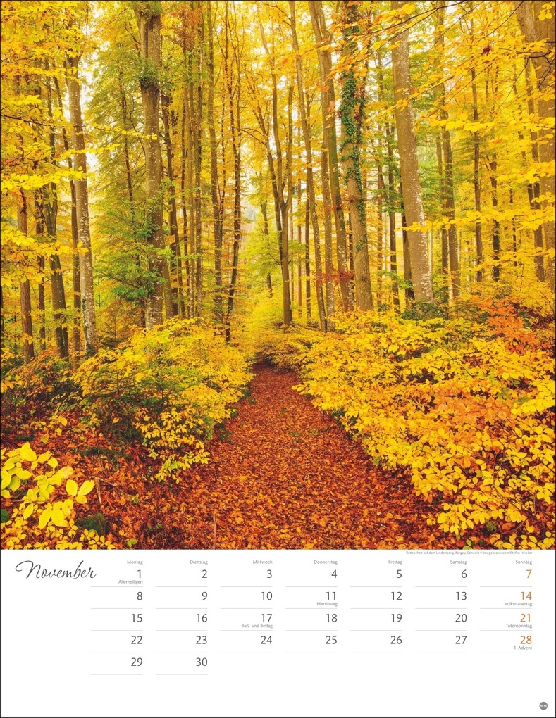 Weitere Ansicht: Wege zum Träumen Posterkalender 2027