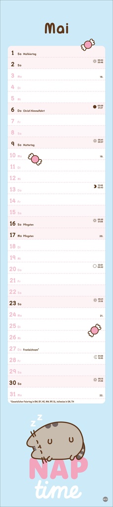 Weitere Ansicht: Pusheen Langplaner 2027