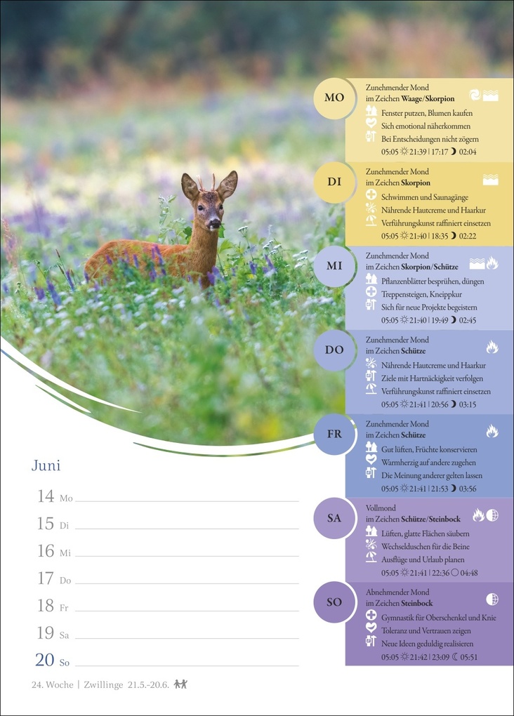 Weitere Ansicht: Mondkalender Wochenkalender 2027 - 53 Wochenblätter mit praktischen Tipps für jeden Tag | Beatrix Braukmüller