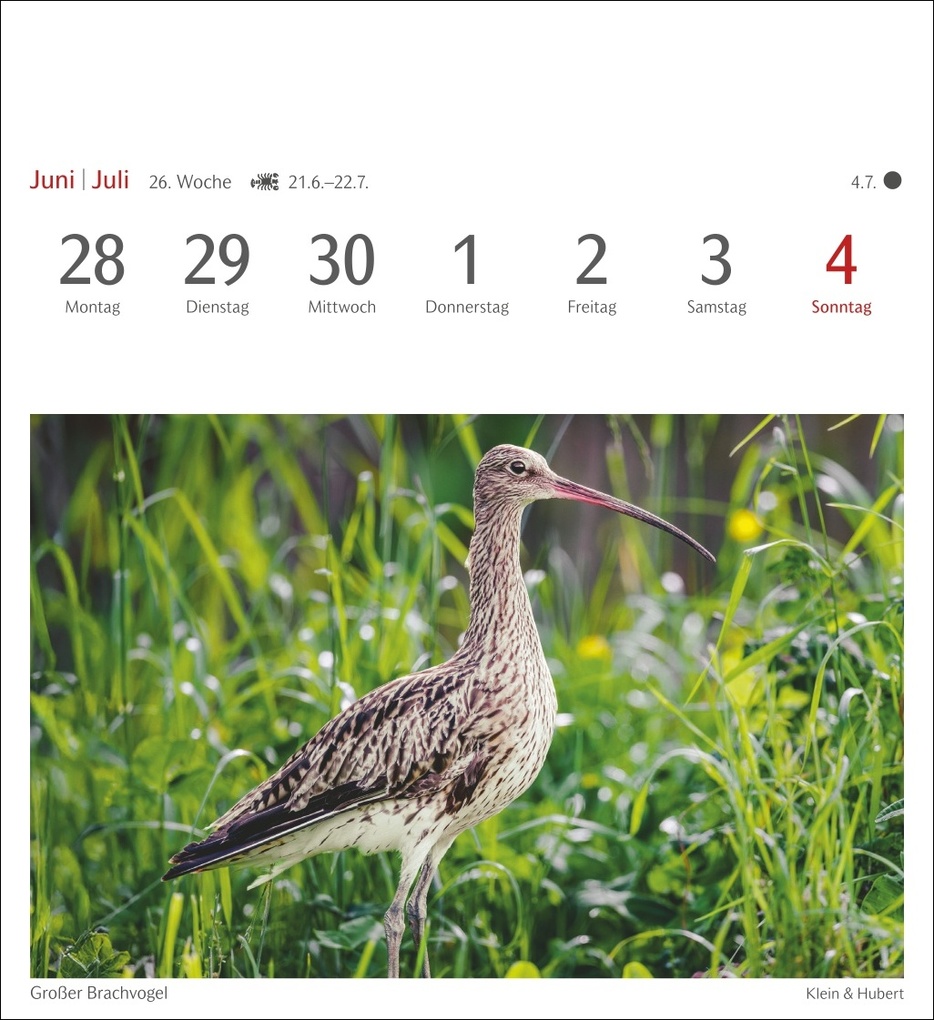 Weitere Ansicht: Heimische Vögel Postkartenkalender 2027 - Wochenkalender mit 53 Postkarten