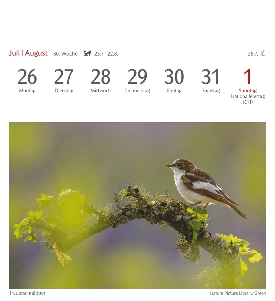 Weitere Ansicht: Heimische Vögel Postkartenkalender 2027 - Wochenkalender mit 53 Postkarten
