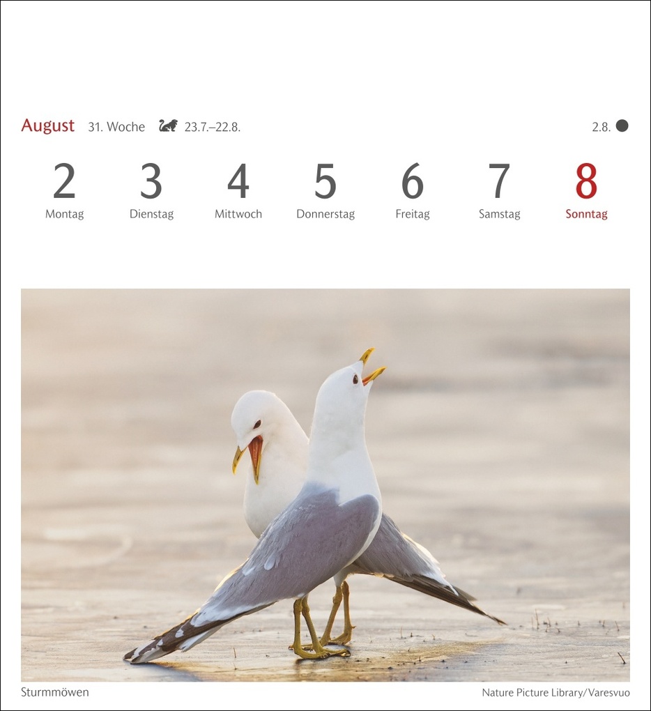 Weitere Ansicht: Heimische Vögel Postkartenkalender 2027 - Wochenkalender mit 53 Postkarten